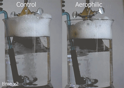 Source: Varanasi Lab