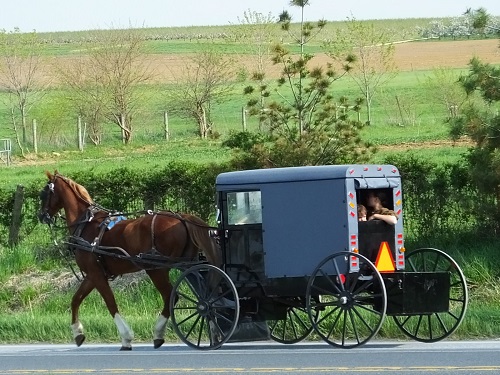 Amish children riding in a buggy in Pennsylvania. Source: Robert Lz / CC BY 2.0