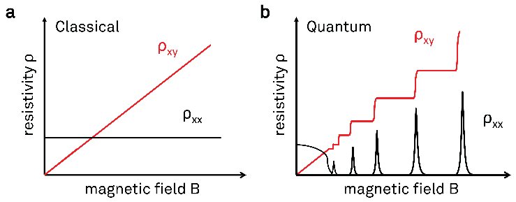 Figure 2. Illustration of longitudinal and transverse resistivities ρxx and ρxy plotted as a function of the magnetic field. (a) Classical Hall effect behavior, where ρxy is co-linear with B, and ρxx is independent of B. (b) Typical signatures of the integer QHE. The Hall resistivity ρxy shows plateaus for a range of magnetic field values, with ρxx going to zero at the same time. Source: Zurich Instruments