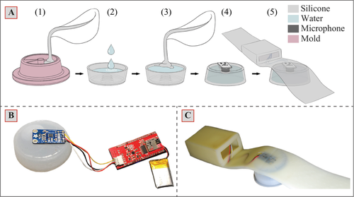 A) Fabrication steps of the water–silicone composite transducer. B) The wireless electronics, battery and microphone. C) The harness produced by embedding the microphone amplifier with silicone. Electronics and battery are placed in a 3D printer container and placed in the sleeve on the harness. Source: Guder Research Group/Imperial College London