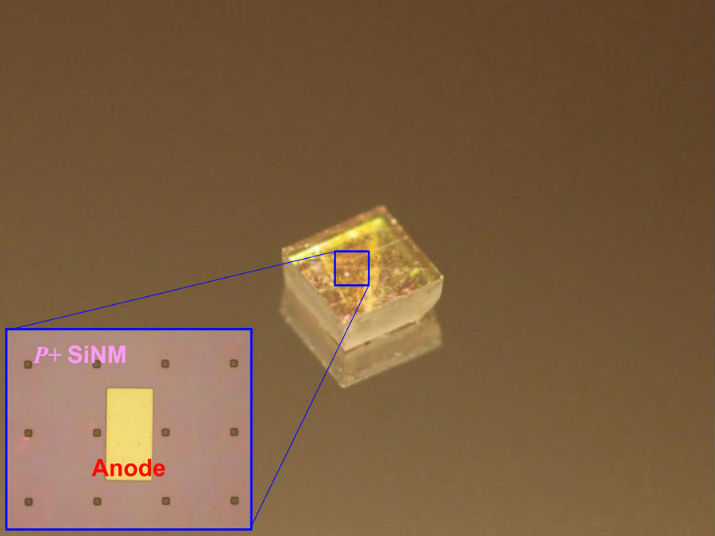 Optical image of a diode array on a natural single-crystalline diamond plate. (Image Credit: Jung-Hun Seo) 