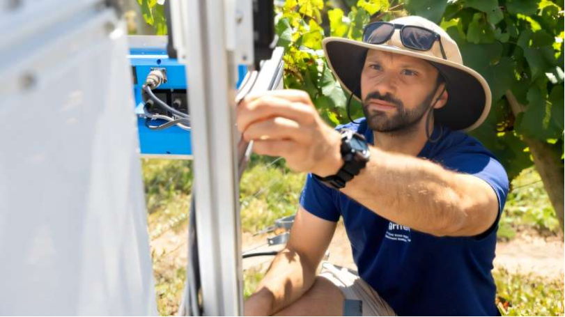 A robotics technician works on an autonomous robot designed to detect disease on grapevines on the Cornell AgriTech campus. Source: Ryan Young/Cornell University