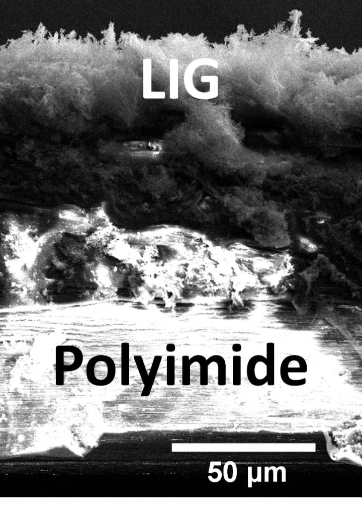 An electron microscope image shows a cross-section of a laser-induced graphene and polyimide composite created at Rice University for use as a triboelectric nanogenerator. Source: Tour Group/Rice University