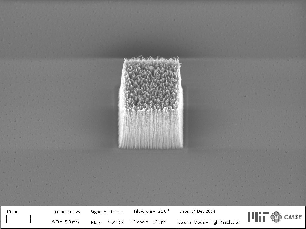 Carbon nanotubes form a highly detailed stamp to print nanoparticles onto flexible and rigid surfaces. / Credit: Sanha Kim and Dhanushkodi Mariappan 