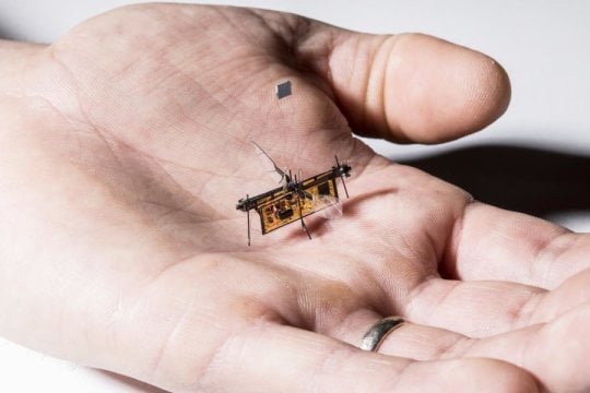 RoboFly, the first wireless insect-sized flying robot. Source: University of Washington