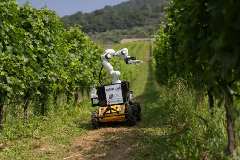 Source: IIT-Istituto Italiano di Tecnologia