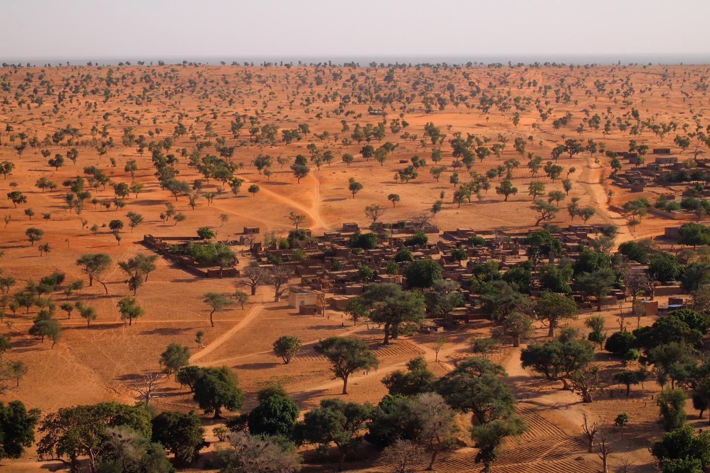 Dryland landscape in West Africa. Source: Martin Brandt