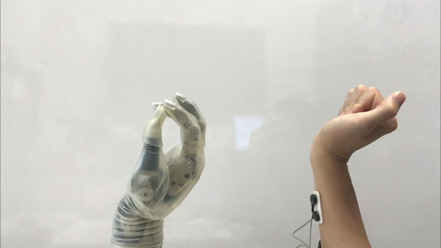 Researchers have developed new technology for decoding neuromuscular signals to control powered prosthetic wrists and hands. The work relies on computer models that closely mimic the behavior of the natural structures in the forearm, wrist and hand. Source: Lizhi Pan, NC State University