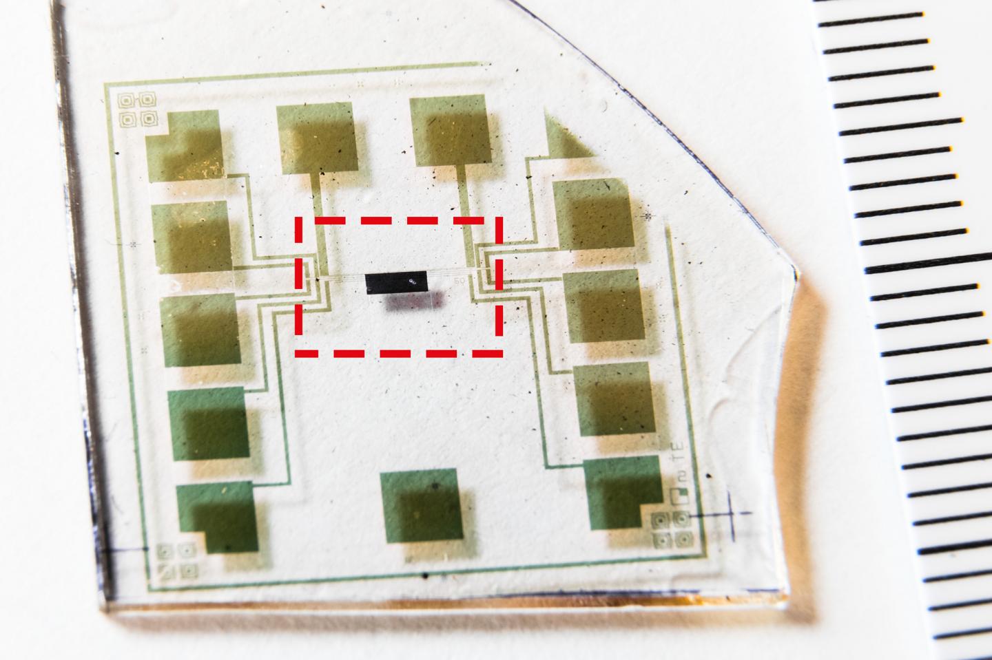 These are the world's first complementary electrochemical logic circuits. Source: Thor Balkhed