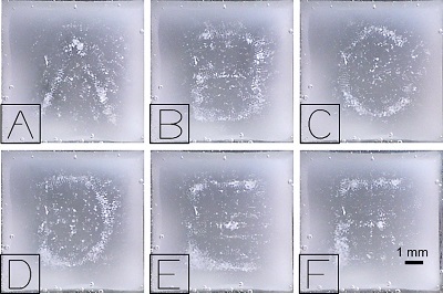 Particles patterned by the spatial ultrasound modulator acoustic field in the form of the letters “A” to “G”. The scale bar is 1 mm. Source: Zhichao Ma et al.