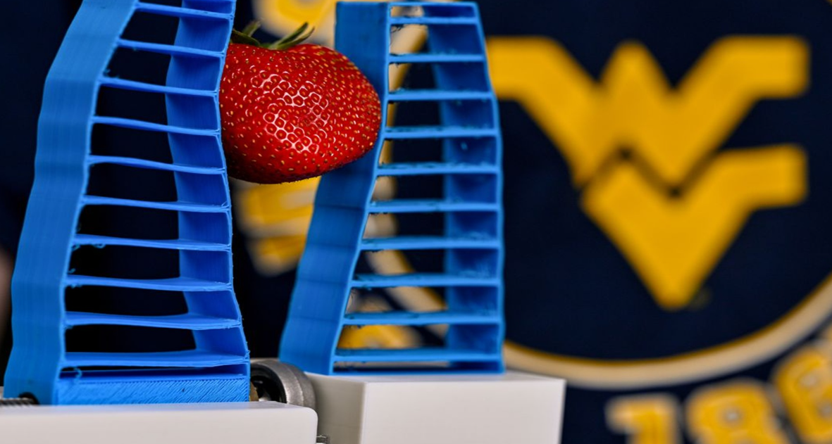 Source: Jennifer Shephard/WVU