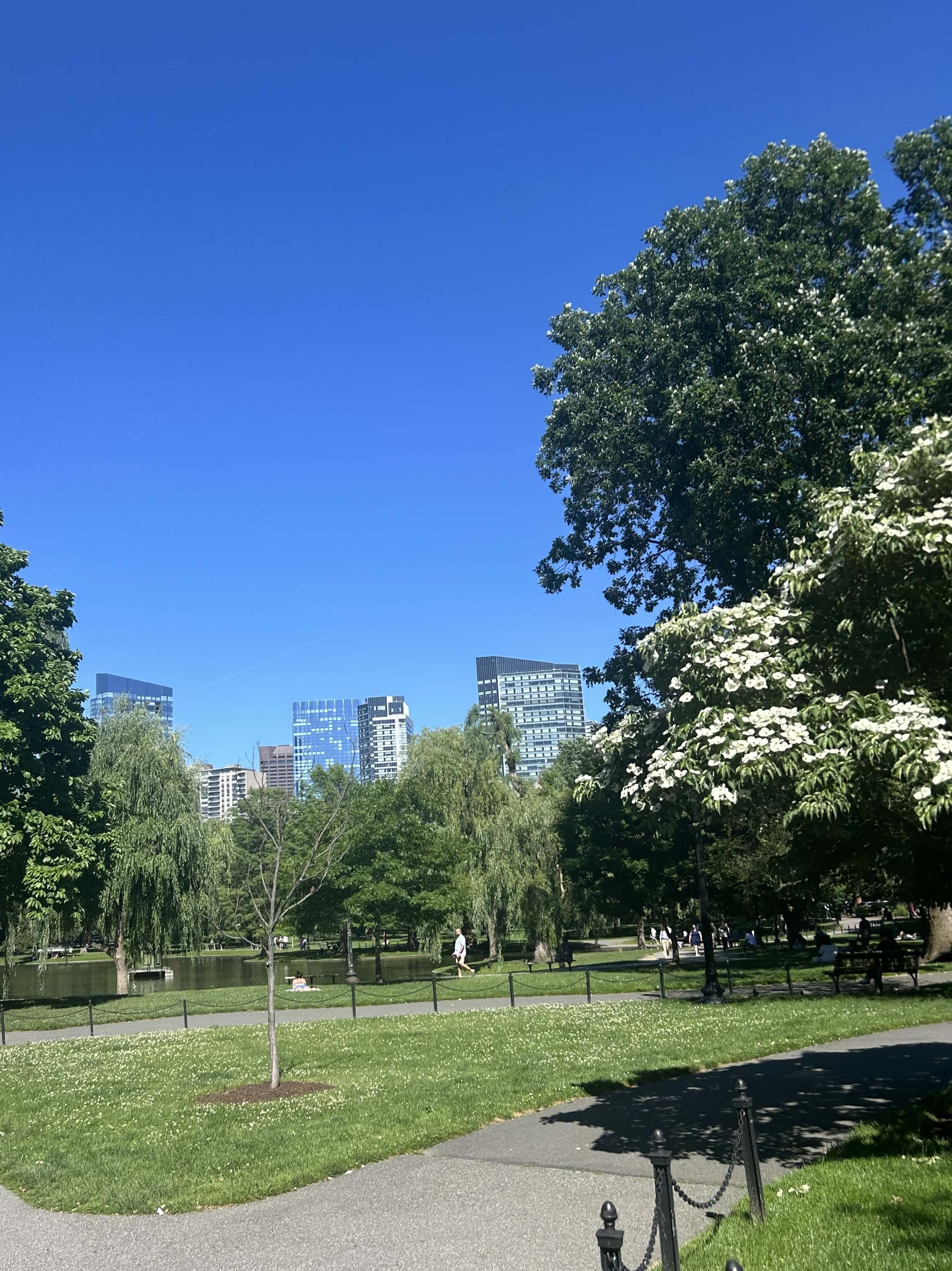 The Boston Public Garden was an ideal spot to wind down after an eventful IMS 2026. 