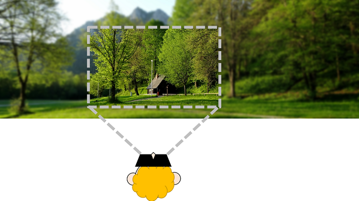 Figure 2: High definition video to user&rsquo;s vision only in VR.