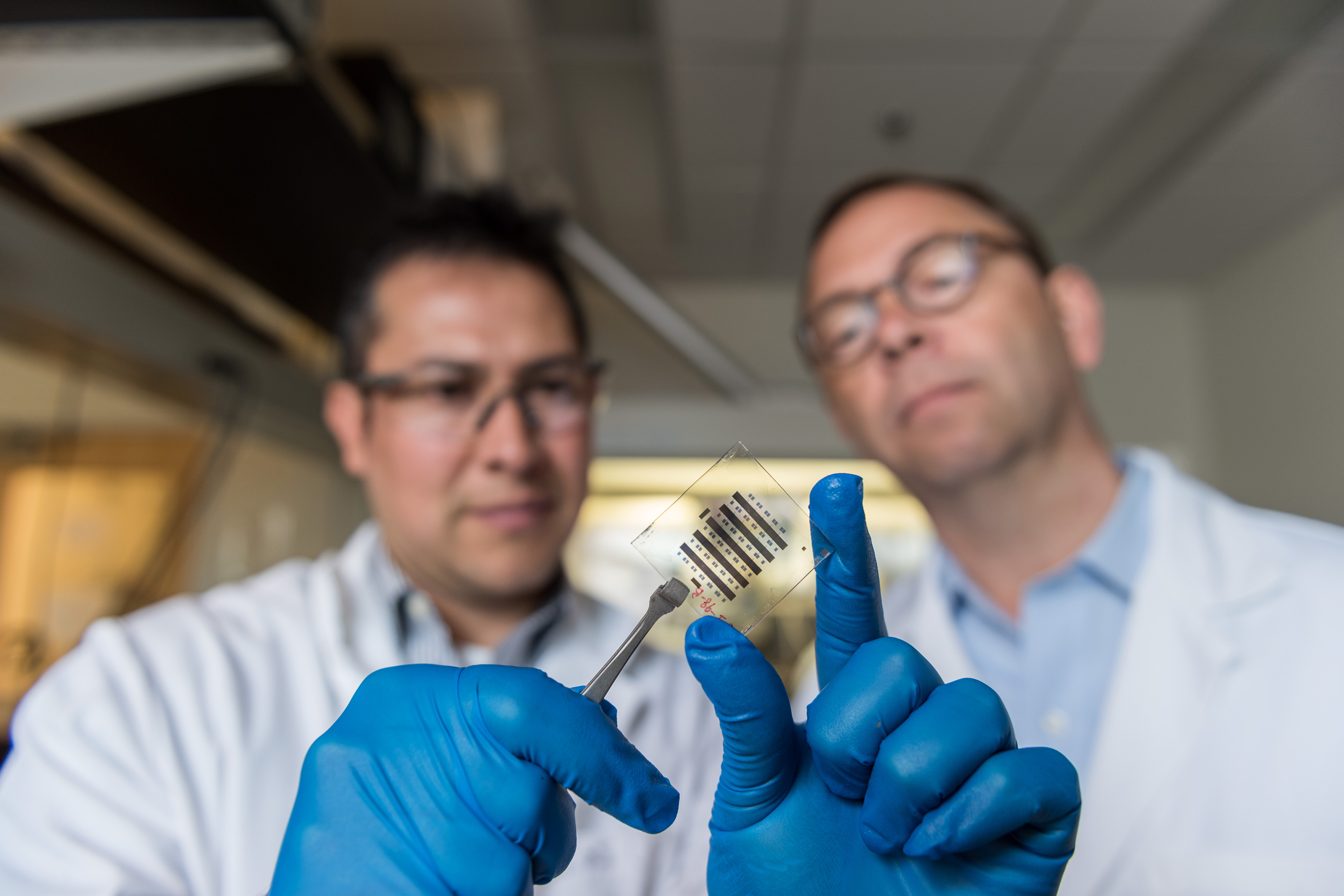 Georgia Tech Senior Research Scientist Canek Fuentes-Hernandez (left) and Professor Bernard Kippelen showing a glass substrate with thin-film transistors. Source: Georgia Institute of Technology
