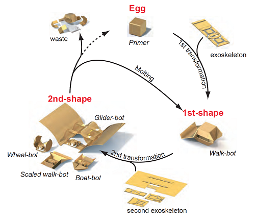The pattern of how the robot can change its shape. Source: MIT CSAIL