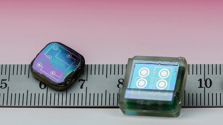 Do Wearable Biosensors Actually Improve Patient Outcomes or Are These  Devices Just for Show? - Xtalks