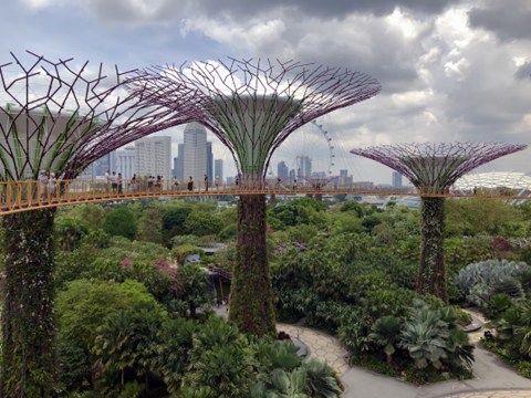 Supertrees in Singapore may be one way to enable sustainable future in smart cities as well as bring new aesthetics. Source: Nick Fewings/Unsplash