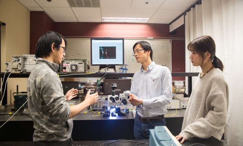 From left, OSU electrical engineering researchers Erwen Li, Alan Wang and Qian Gao (photo by Gale Sumida). Source: Oregon State University