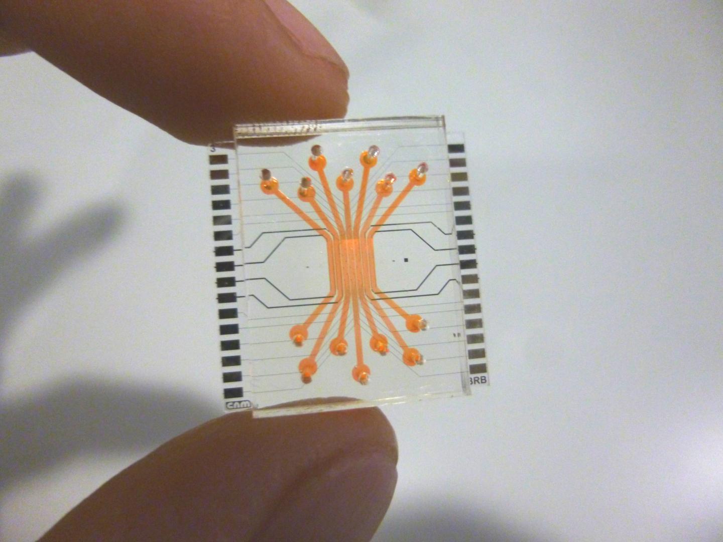 The new chip developed by Barcelona researchers. Source: José Yeste/CSIC-IMB-CNM