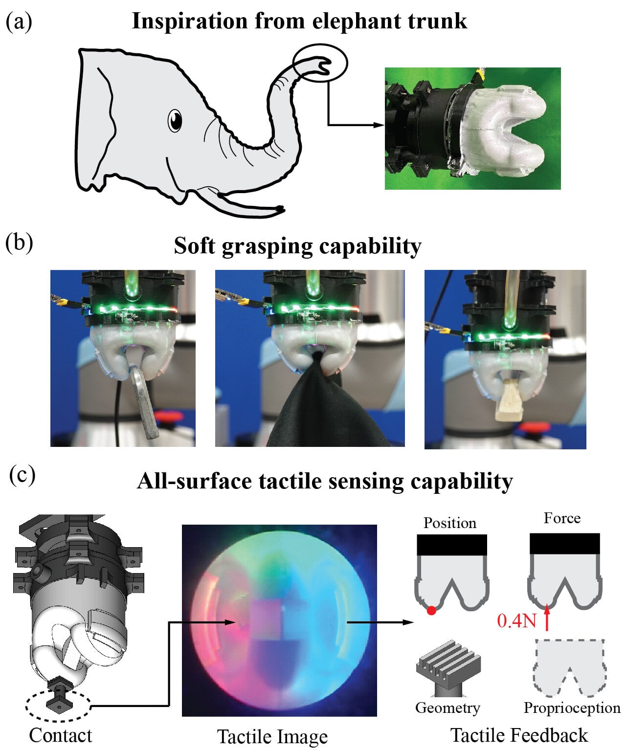 Source: Professor Van Anh Ho, Japan Advanced Institute of Science and Technology, Japan