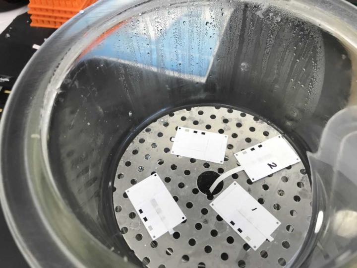 New electrochemical method developed at UTSA to test the presence of a bacterial infection is faster and more accurate than methods currently on the market. (Source: UTSA)