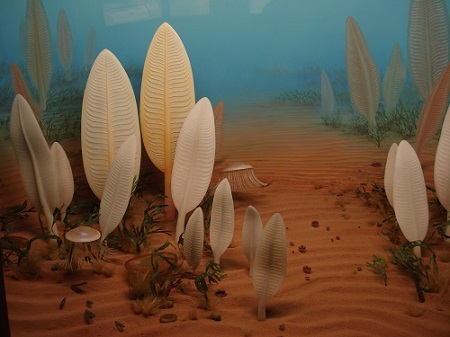 Precambrian marine life. Source: Ghedoghedo / CC BY-SA 3.0